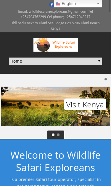 Mobile view