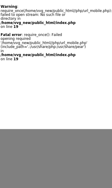 Mobile view