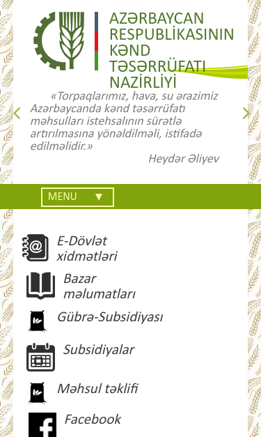 Mobile view