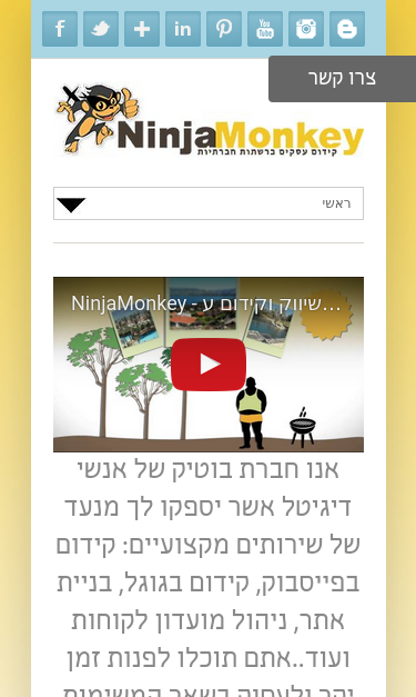 Mobile view
