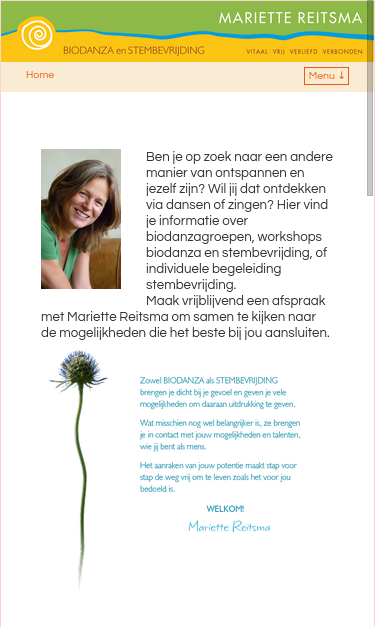 Mobile view