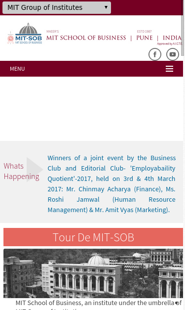 Mobile view