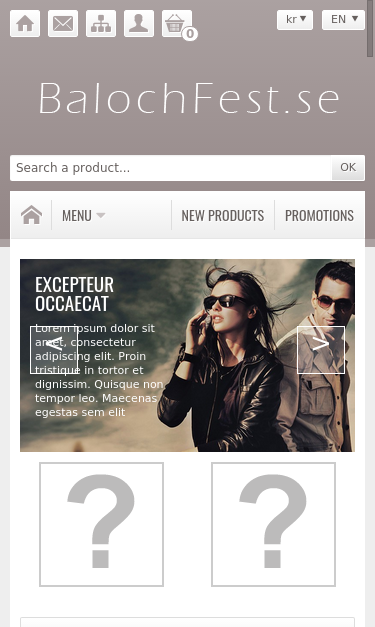 Mobile view