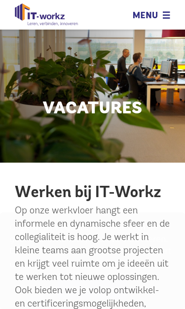 Mobile view