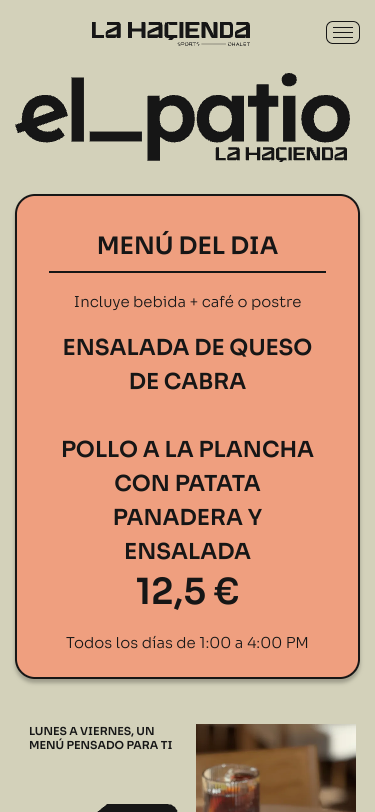 Mobile view