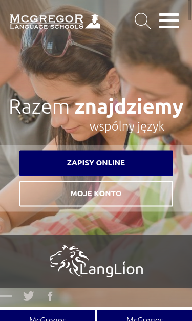 Mobile view
