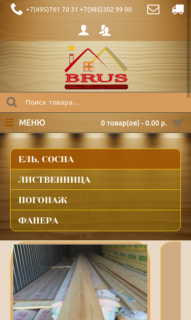 Mobile view
