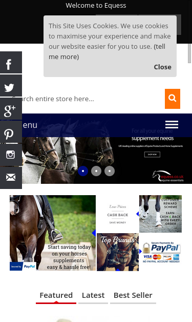 Mobile view