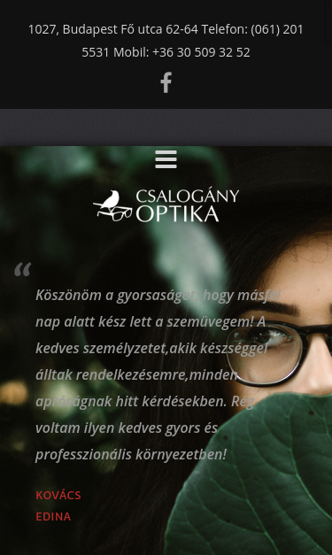 Mobile view