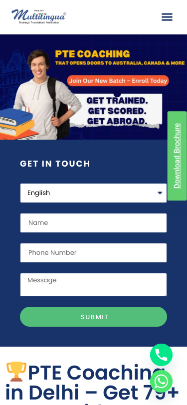 Mobile view