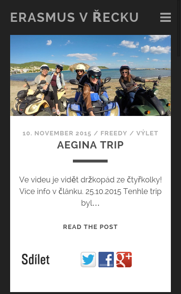 Mobile view