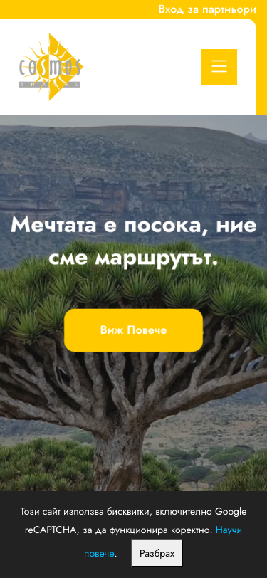 Mobile view