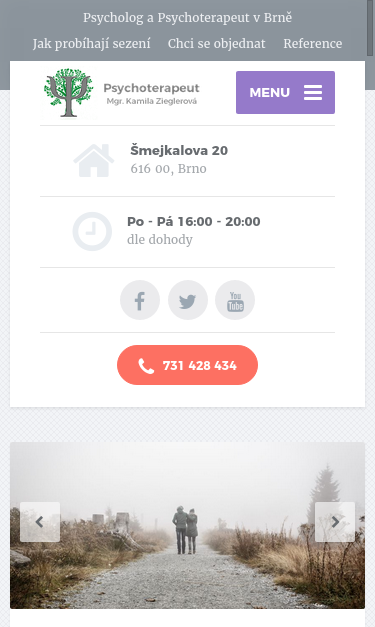Mobile view