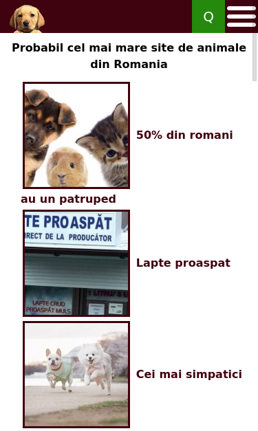 Mobile view