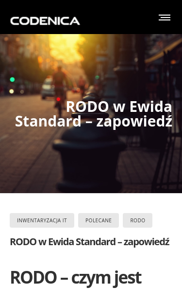 Mobile view