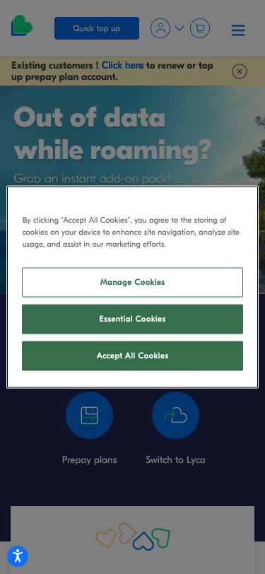 Mobile view