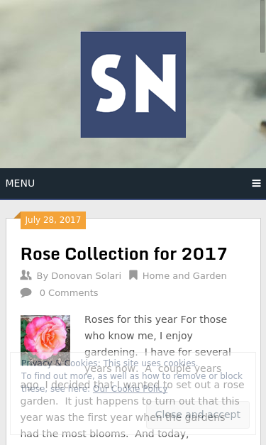 Mobile view