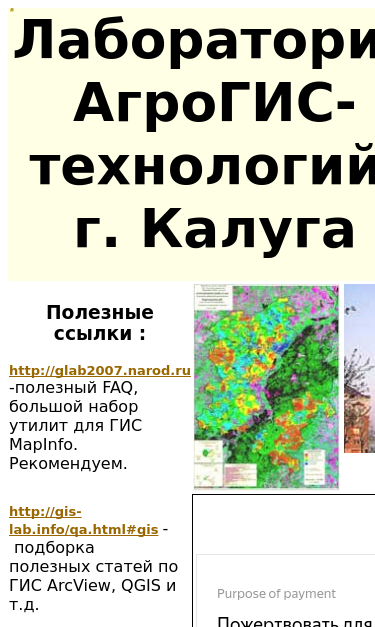 Mobile view