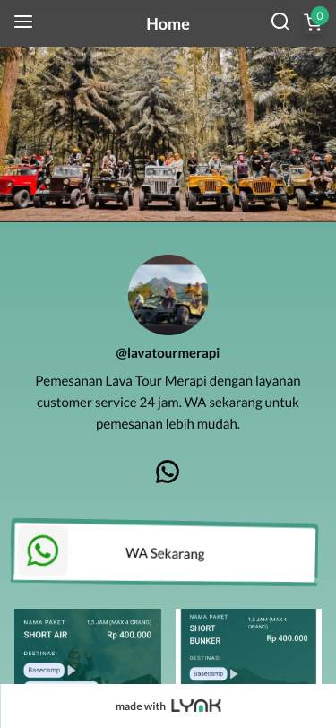 Mobile view