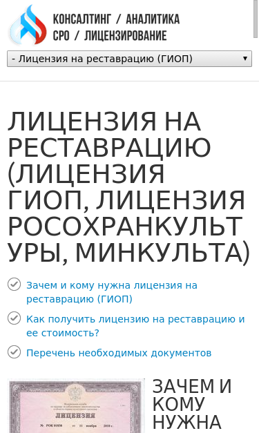 Mobile view
