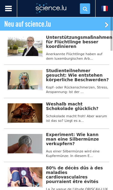 Mobile view