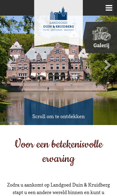 Mobile view