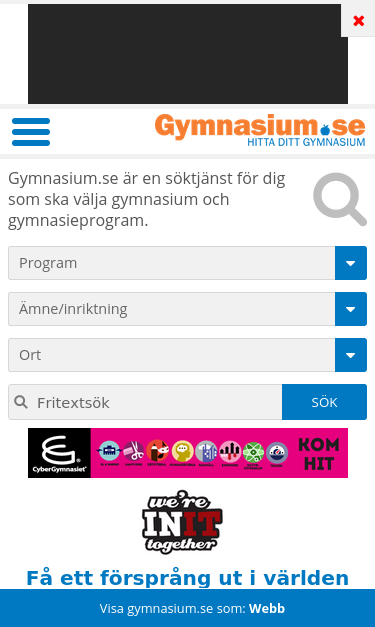 Mobile view