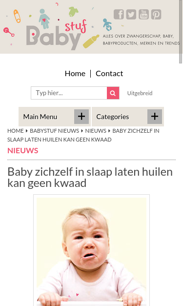 Mobile view