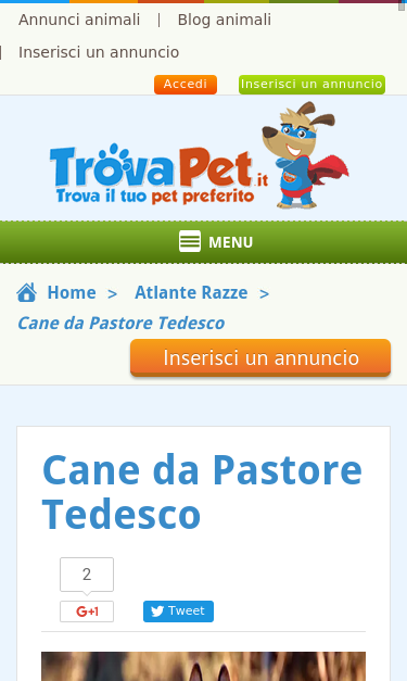 Mobile view