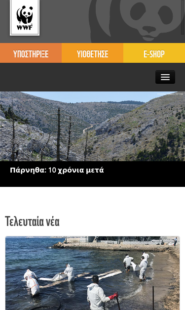 Mobile view