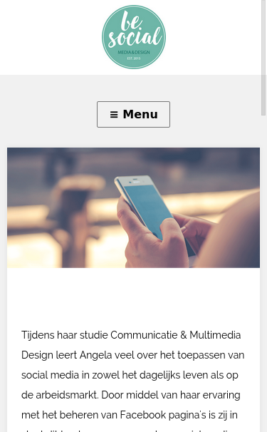 Mobile view
