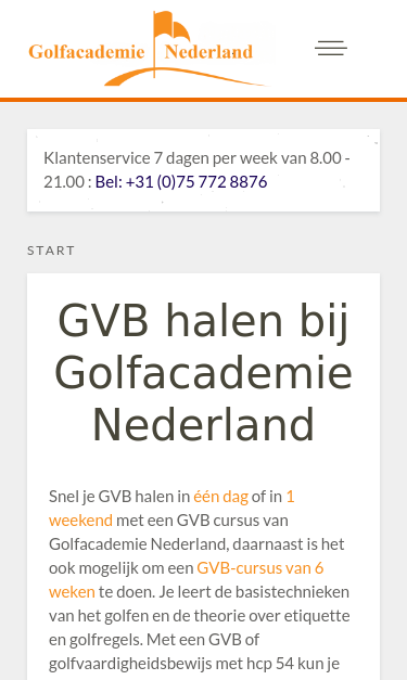 Mobile view