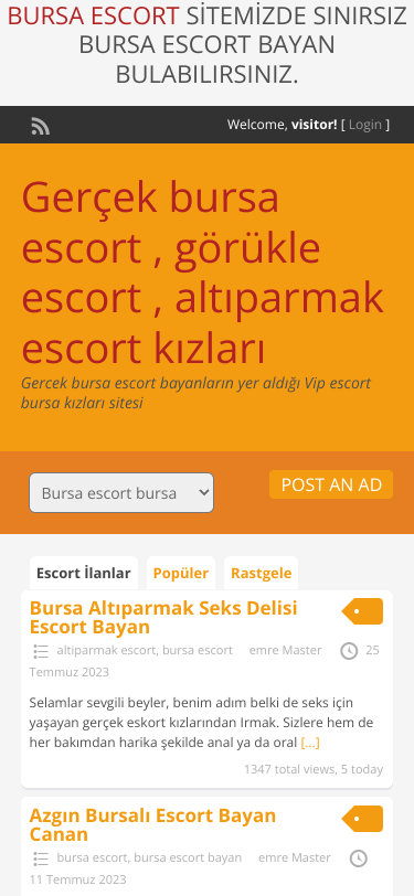 Mobile view