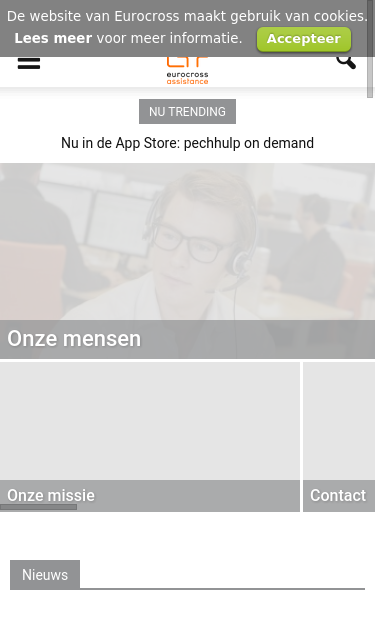 Mobile view