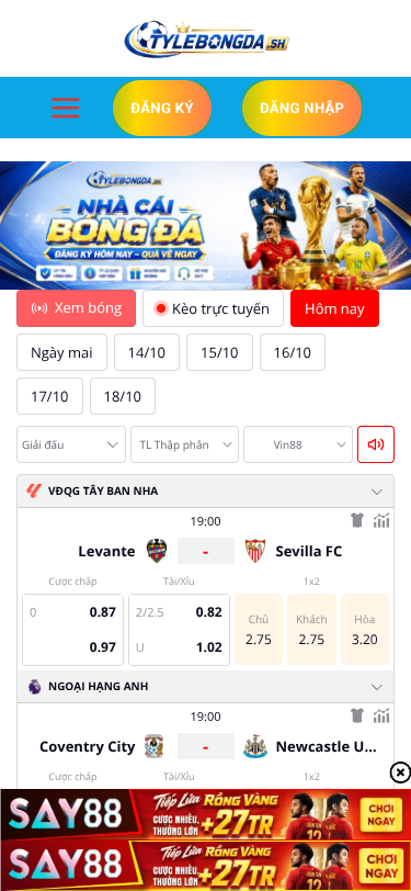 Mobile view