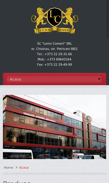 Mobile view