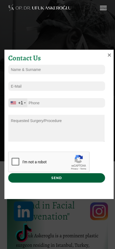 Mobile view