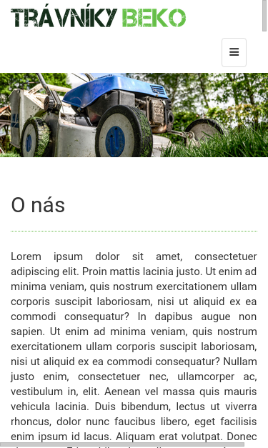 Mobile view