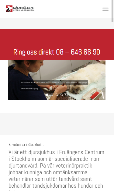 Mobile view