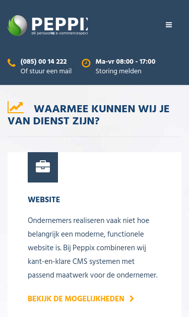 Mobile view