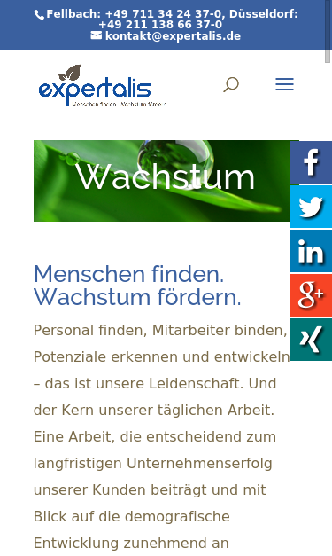 Mobile view