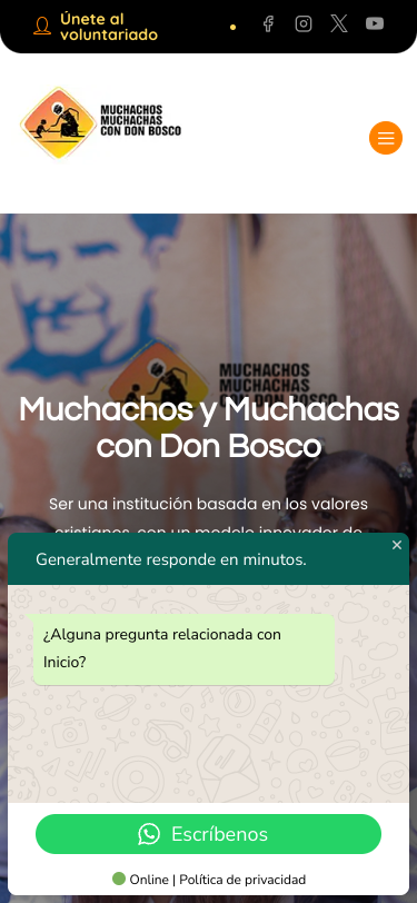 Mobile view