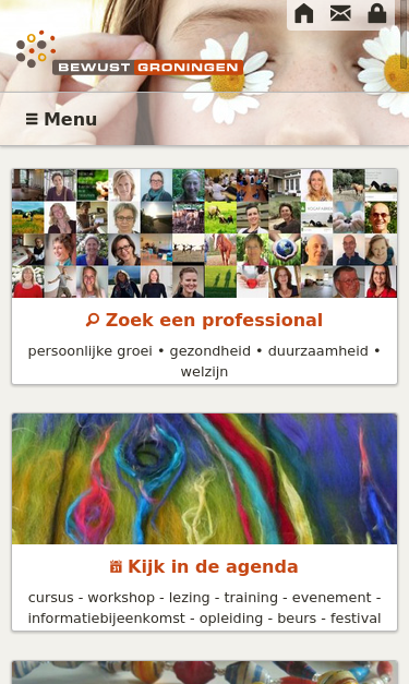 Mobile view