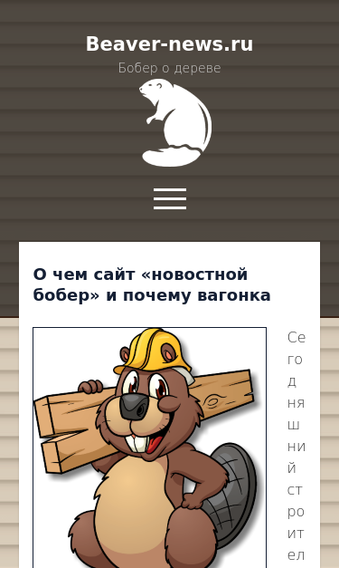 Mobile view