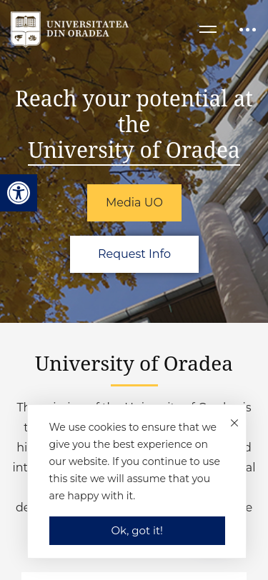 Mobile view