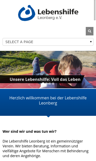 Mobile view