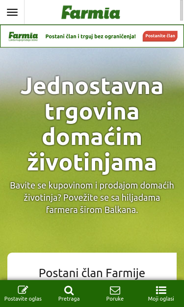Mobile view
