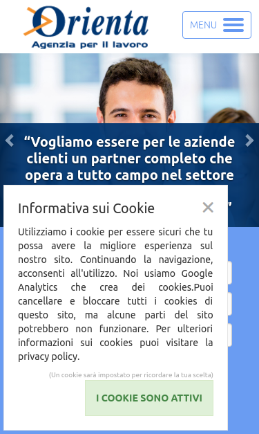 Mobile view