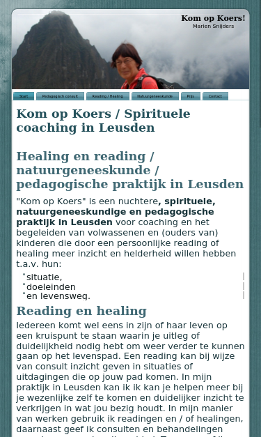 Mobile view