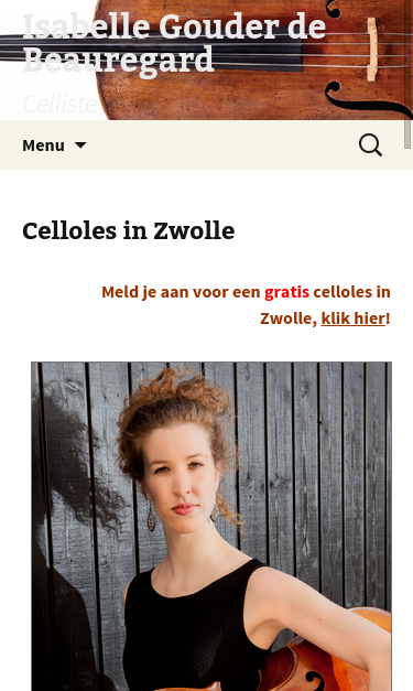 Mobile view